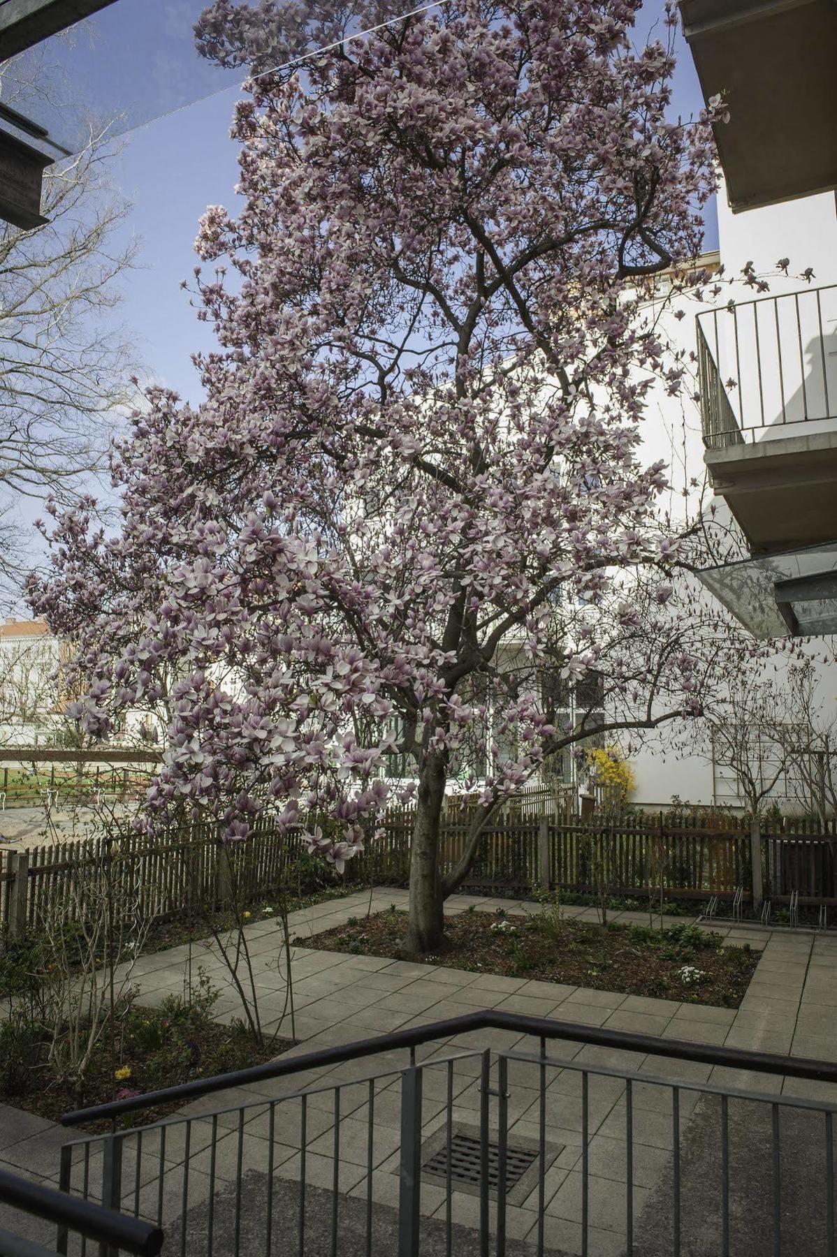 Hotel Haus Mobene - Garni Graz